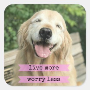 Het glimlachen van de gouden hond leeft nog zorgwe vierkante sticker