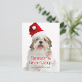 Het glimlachen van de Hond die van Lhasa Apso het Feestdagenkaart (Staand voorkant)