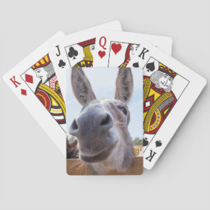 Het glimlachen van Donkey Bicycle met Gekke Grin o Pokerkaarten