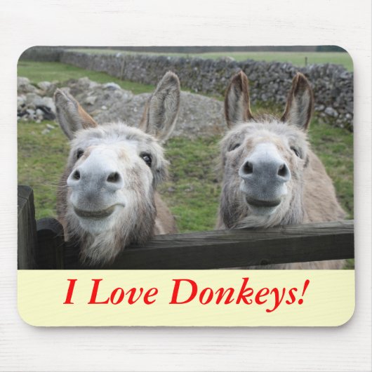 Het glimlachen van Donkeys! Muismat (Voorkant)