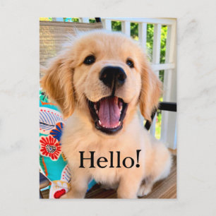 Het glimlachen van Golden Retriever Puppy Hallo Briefkaart