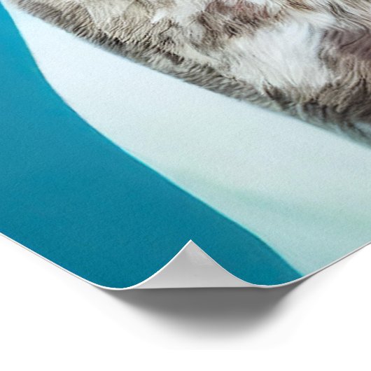 Het glimlachen van het Duitse Shorthaired Pointer  Poster (Hoek)