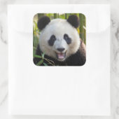 Het glimlachen van het portret van Panda Vierkante Sticker (Tas)