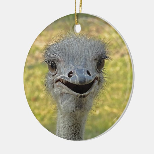 Het glimlachen van ornament Ostrich (Links)