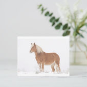 Het glimlachen van Paard Palomino in de Sneeuw Briefkaart (Staand voorkant)