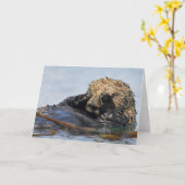 Het gluren de Kaart van de Otter van het Zee (Gele Bloem)