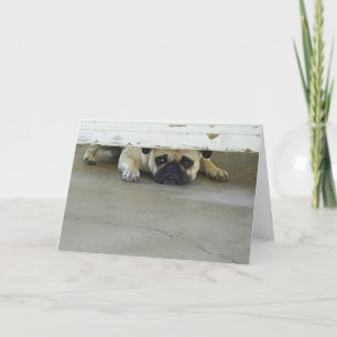 Het gluren Pug Wenskaart - Spatie binnen Kaart