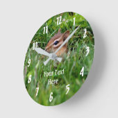 Het Gluren van de Aardeekhoorn van het baby Dier Ronde Klok (Hoek)