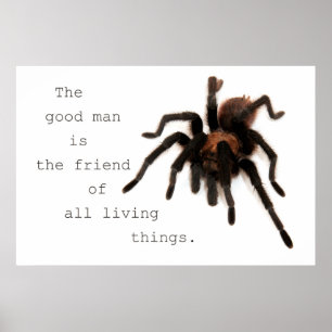 Het goede Man Poster
