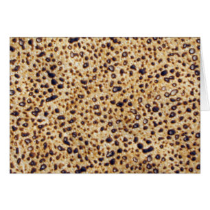 Het Gram van Matzah van Shemura