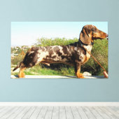 Het Grand Dachshund Canvas Afdruk (Insitu (Houten vloer))