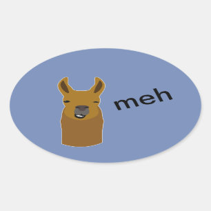 Het Grappige Gezicht van de lama Ovale Sticker
