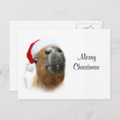 Het grappige paard van Kerstmis Feestdagenkaart (Voorkant / Achterkant)