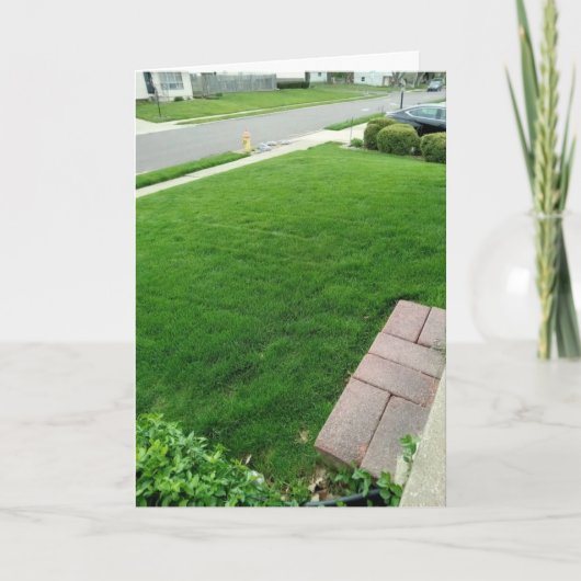 Het gras is groene KAART (Voorkant)