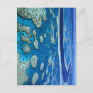Het Great Barrier Reef Briefkaart