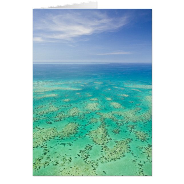 Het Great Barrier Reef, uitzicht van Groen vanuit  (Voorkant)