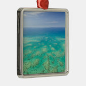 Het Great Barrier Reef, uitzicht van Groen vanuit Metalen Ornament (Rechts)