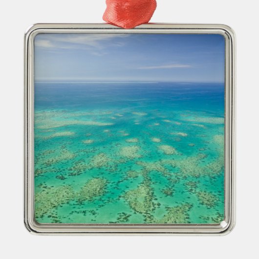 Het Great Barrier Reef, uitzicht van Groen vanuit Metalen Ornament (Voorkant)