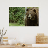 Het Grizzly Beer Poster (Keuken)
