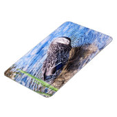 Het groeiend effect magneet (Linkerzijde)