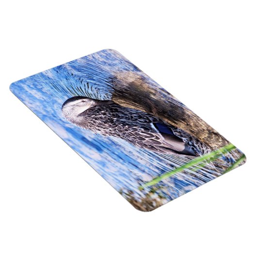 Het groeiend effect magneet (Rechterzijde)