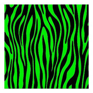 Het Groene Zebra van het limoen Perfect Poster