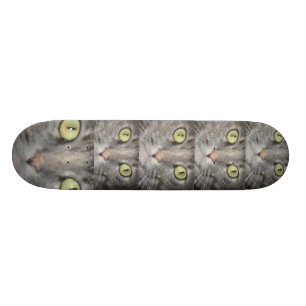 HET GROETE BORD SKATEBOARD