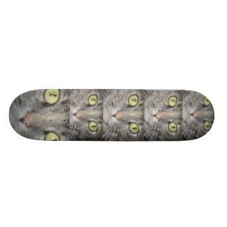 HET GROETE BORD SKATEBOARD