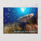 Het grote Briefkaart van het Barrièrerif (Voorkant)