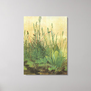 Het Grote Grasveld door Albrecht Dürer Canvas Afdruk