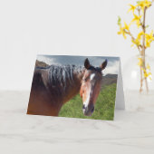 Het grote Paard van het Kwart van de Baai Kaart (Gele Bloem)