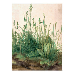 Het Grote Stuk Turf van Albrecht Durer Foto Afdruk