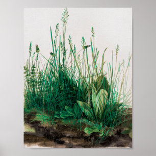Het grote stuk Turf van Albrecht Durer Poster