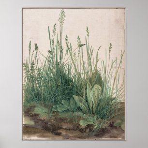 Het grote stuk Turf van Albrecht Durer Poster