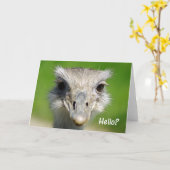 Het Hallo van de emoe Kaart (Gele Bloem)