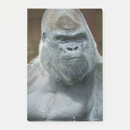 Het handbediende Silverback Post-it® Notes (Voorkant)