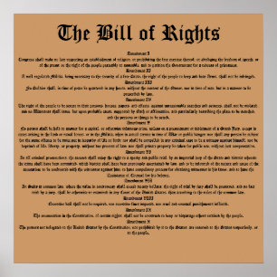 Het Handvest van de Rechten Poster