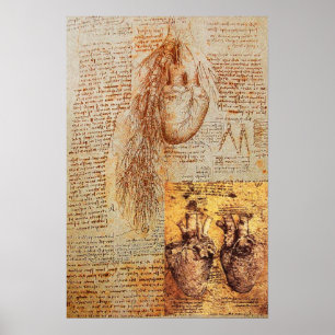 Het hart, bronchiale arteriën en haar bloedvaten poster