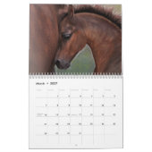 Het hart van de Equus Kalender (Mar 2027)