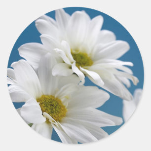 Het hart van de moeder houdt een tuin van de liefd ronde sticker