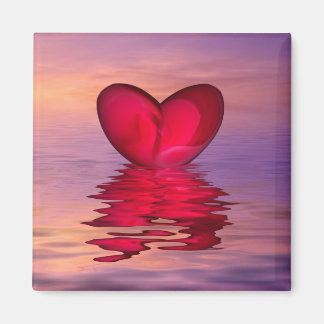 Het hart van de oceaan magneet