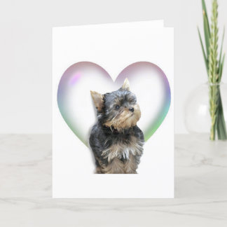 Het Hart van Yorkie Kaart
