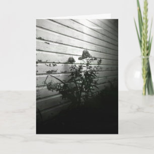 Het hart vraagt eerst genoegen kaart