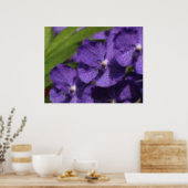 Het Hawaiiaanse Tropische Poster van de Orchidee (Keuken)