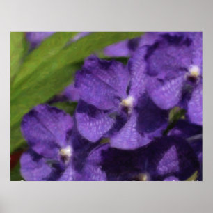 Het Hawaiiaanse Tropische Poster van de Orchidee