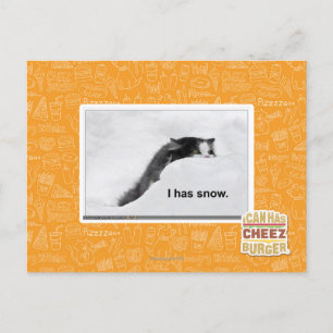 Het heeft sneeuw. briefkaart