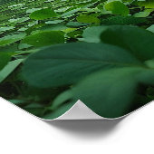 Het heiligdom van het Clover Green Field Poster (Hoek)