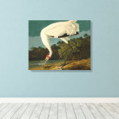 Het hele Crane Audubon-vogelschilderen Canvas Afdruk (Insitu (Houten vloer))