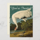 Het hele Crane Audubon-vogelschilderen Kaart (Voorkant / Achterkant)