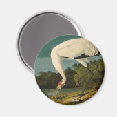 Het hele Crane Audubon-vogelschilderen Magneet (Voorkant / Achterkant)